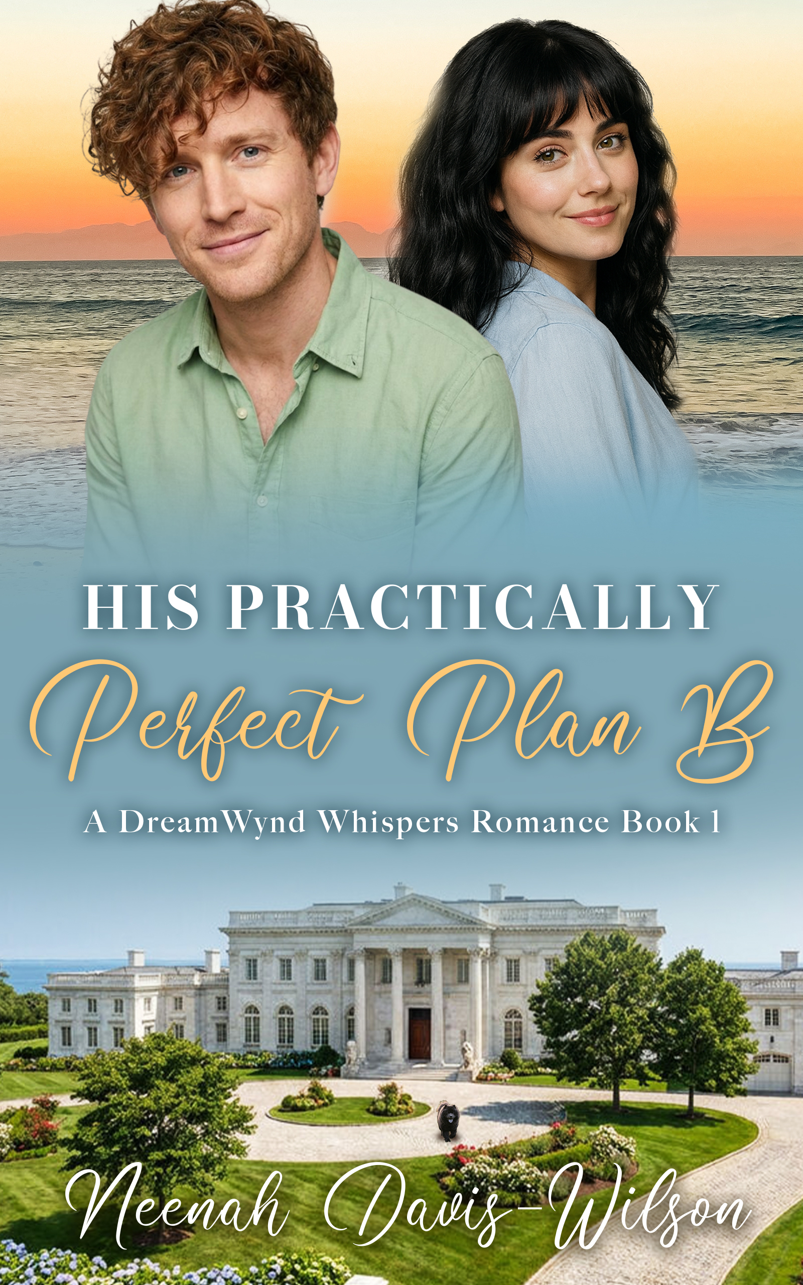 his_practically_perfect_plan_b_v2a His Practically Perfect Plan B book cover